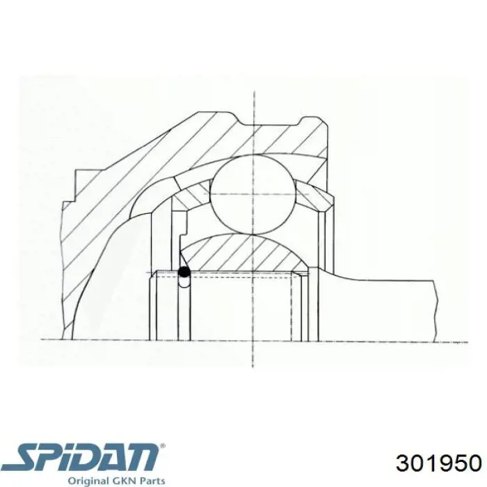 301950 GKN-Spidan junta homocinética exterior delantera