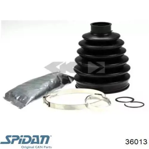 Fuelle, palier delantero exterior GKN-Spidan 36013 precio, desde 22,79 EUR