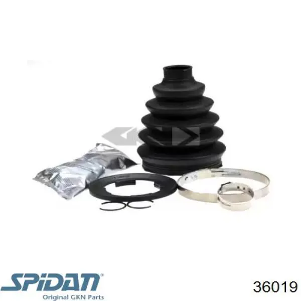 Fuelle, palier delantero exterior GKN-Spidan 36019 precio, desde 13,61 EUR