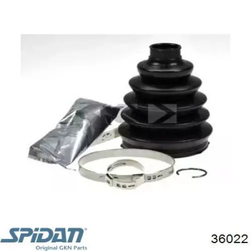 Fuelle, palier delantero exterior GKN-Spidan 36022 precio, desde 18,79 EUR