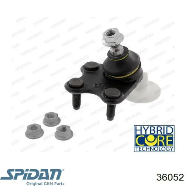 Fuelle transmisión delantero exterior GKN-Spidan 36052 precio, desde 59,51 EUR