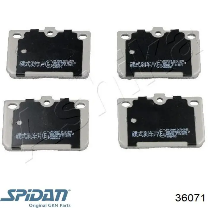 Fuelle, palier delantero exterior GKN-Spidan 36071 precio, desde 46,20 EUR