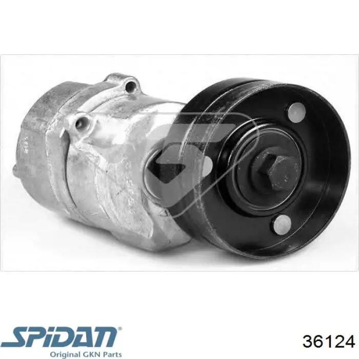 Fuelle de semieje delantero interior 36124 GKN-Spidan