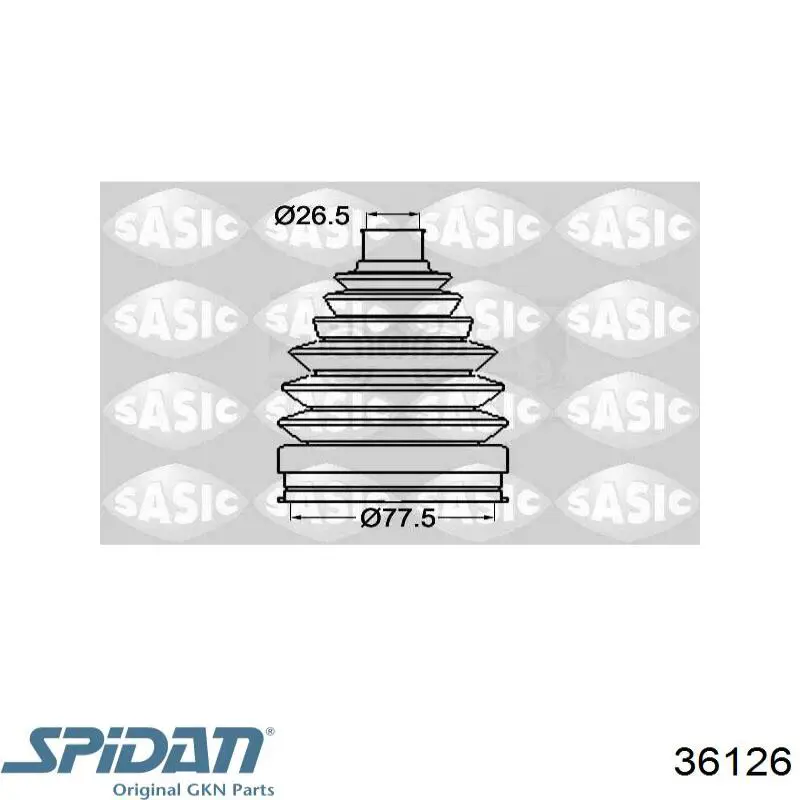 Fuelle, palier delantero exterior GKN-Spidan 36126 precio, desde 19,19 EUR
