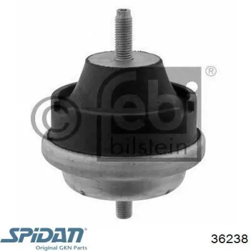 Fuelle transmisión delantero exterior GKN-Spidan 36238 precio, desde 13,10 EUR