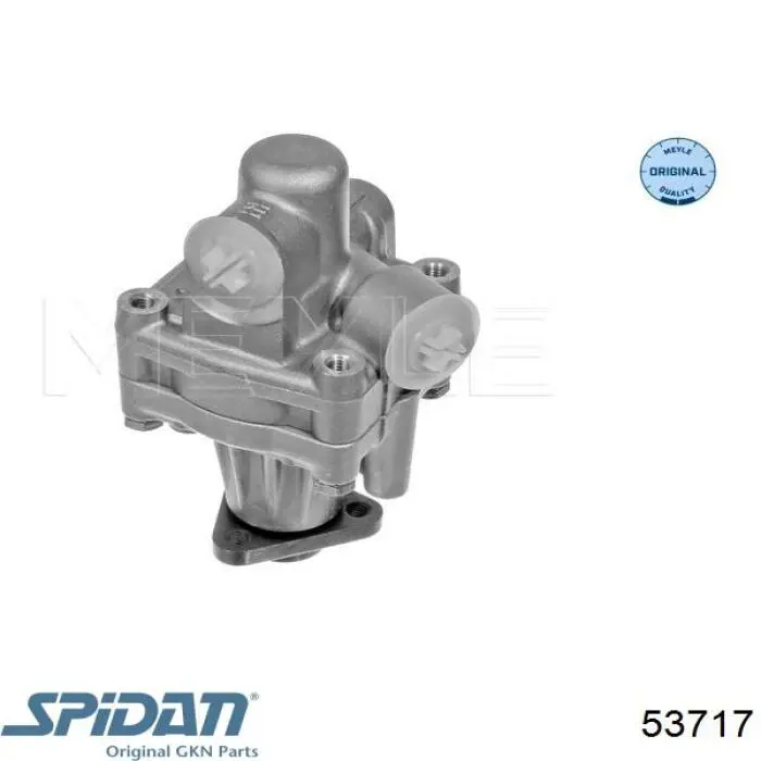 53717 GKN-Spidan bomba hidráulica de dirección