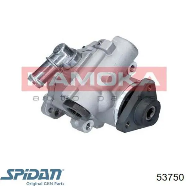 53750 GKN-Spidan bomba hidráulica de dirección