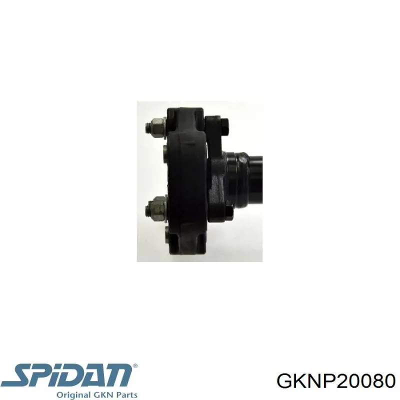 P20080 GKN-Spidan cardán