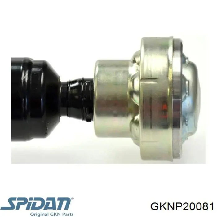 Comprar 32104 Sercore Árbol cardán trasero completo