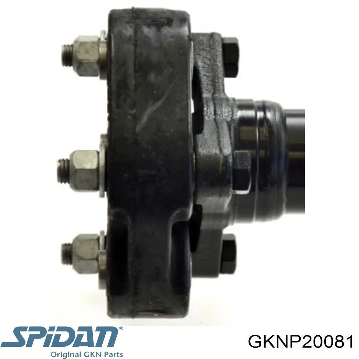 Cardán 20081 GKN-Spidan