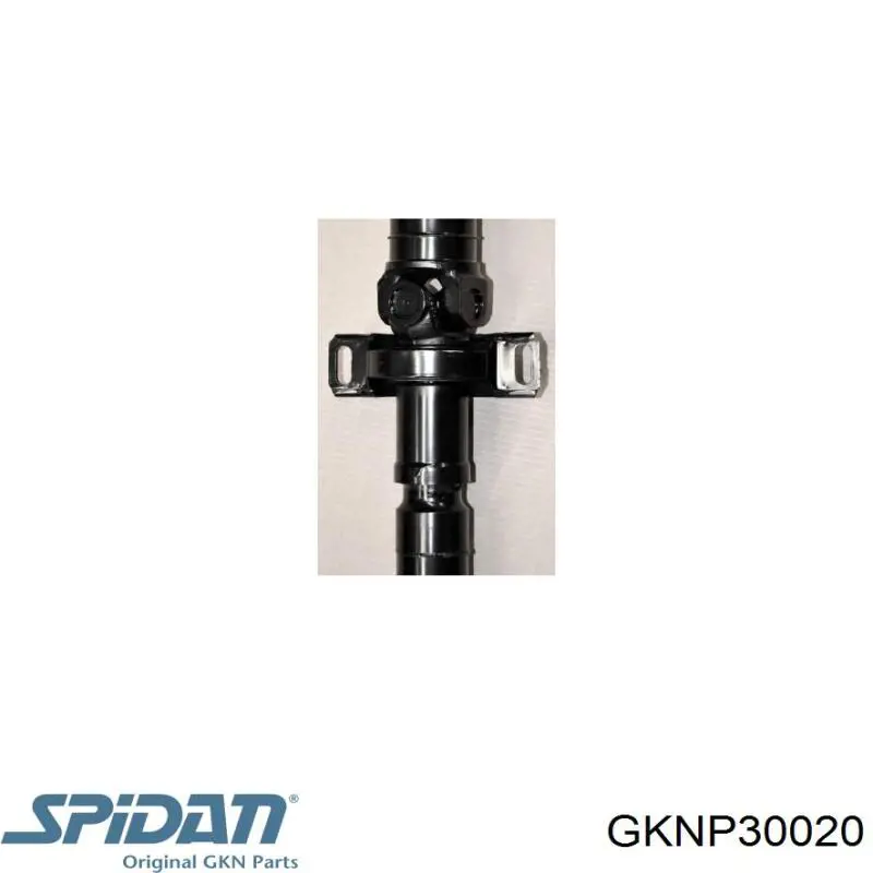 GKNP30020 GKN-Spidan árbol cardán trasero completo