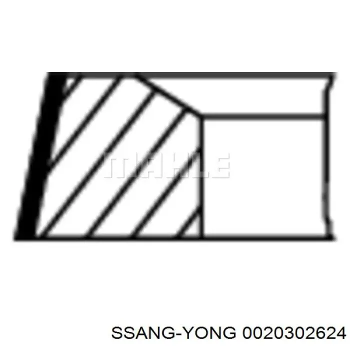 Juego de anillos de pistón para 1 cilindro, STD Ssang Yong 0020302624 precio, desde 18,62 EUR