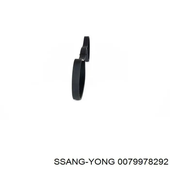 0079978292 Ssang Yong correa trapezoidal