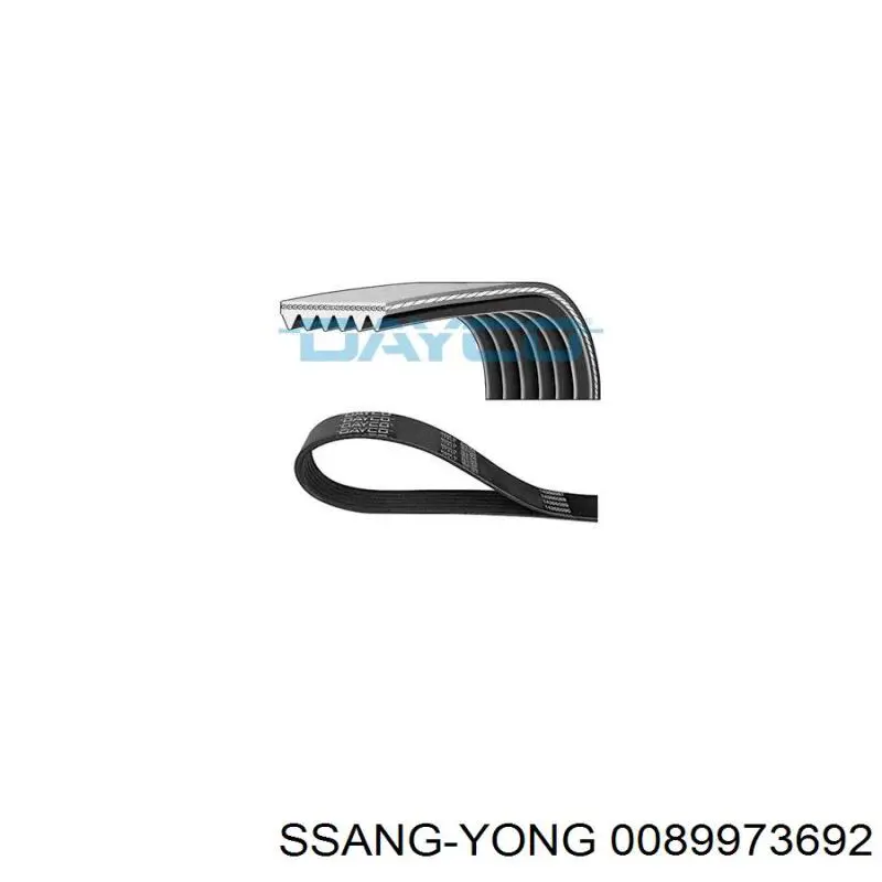 Correa de alternador 0089973692 Ssang Yong