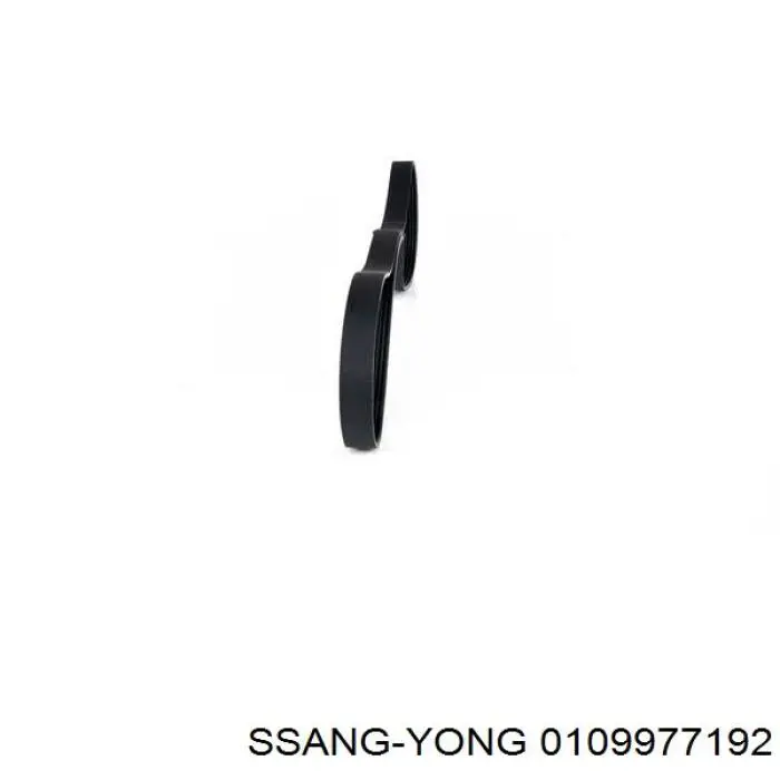 0109977192 Ssang Yong correa trapezoidal