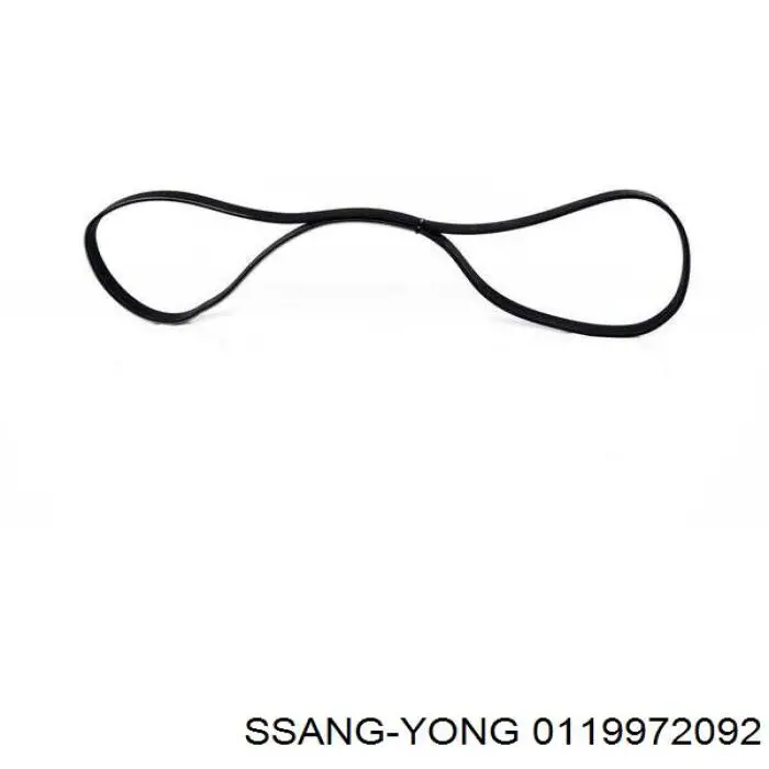 0119972092 Ssang Yong correa trapezoidal