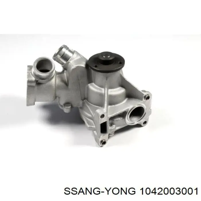 1042003001 Ssang Yong bomba de agua