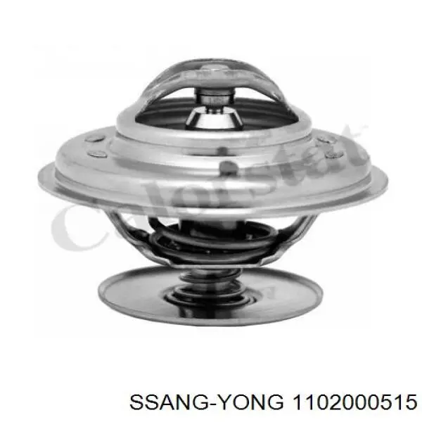 1102000515 Ssang Yong termostato