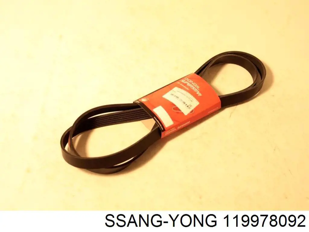 119978092 Ssang Yong correa trapezoidal