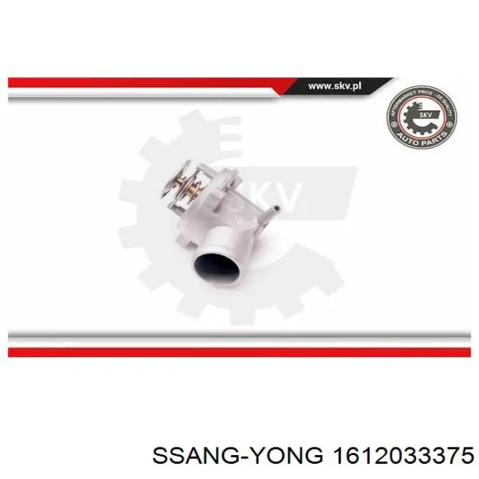Comprar 1612033375 Ssang Yong Termostato