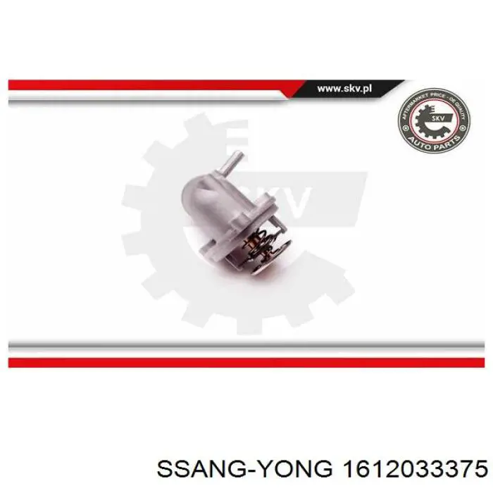 Termostato Ssang Yong 1612033375 precio, desde 24,56 EUR