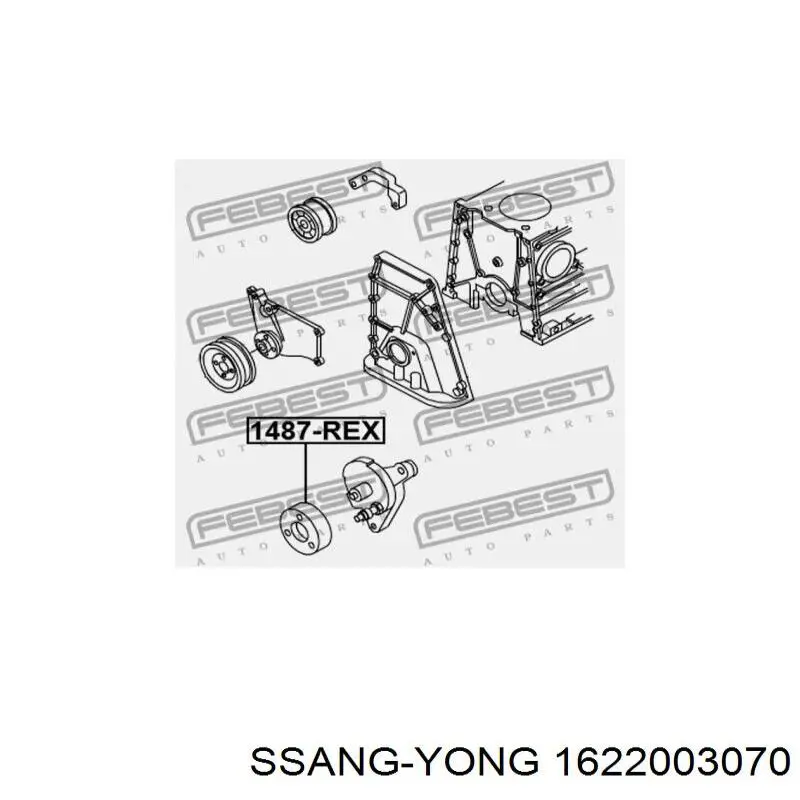 1622003070 Ssang Yong rodillo, correa trapecial poli v