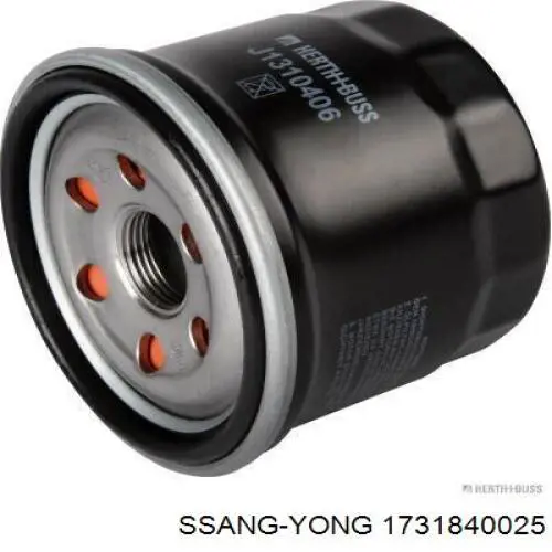 1731840025 Ssang Yong Filtro aceite