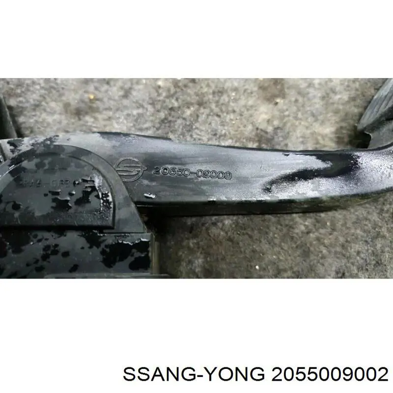 Potenciómetro pedal acelerador Ssang Yong 2055009002 precio, desde 56,63 EUR