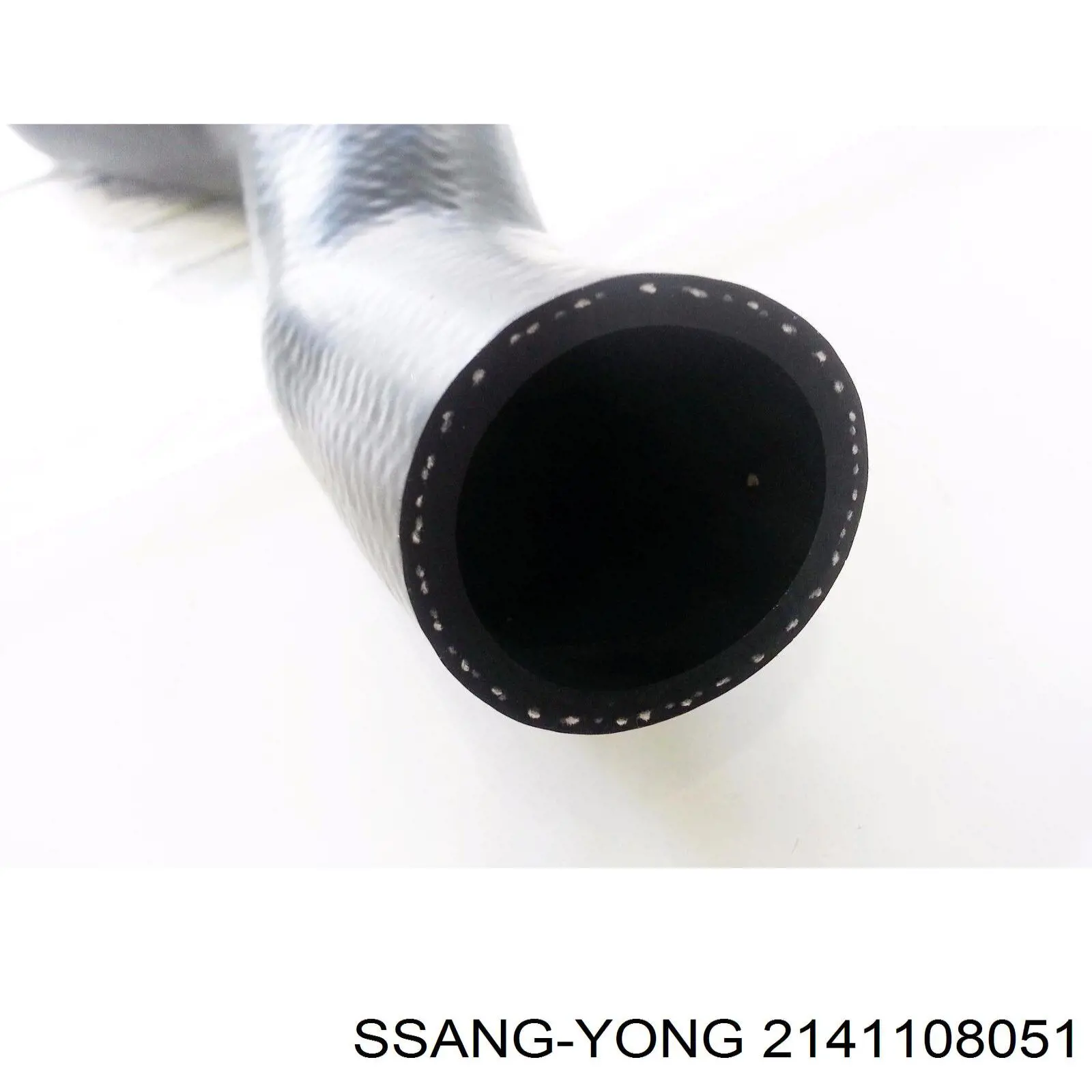 Manguera de radiador arriba para SsangYong Rexton (RJN)