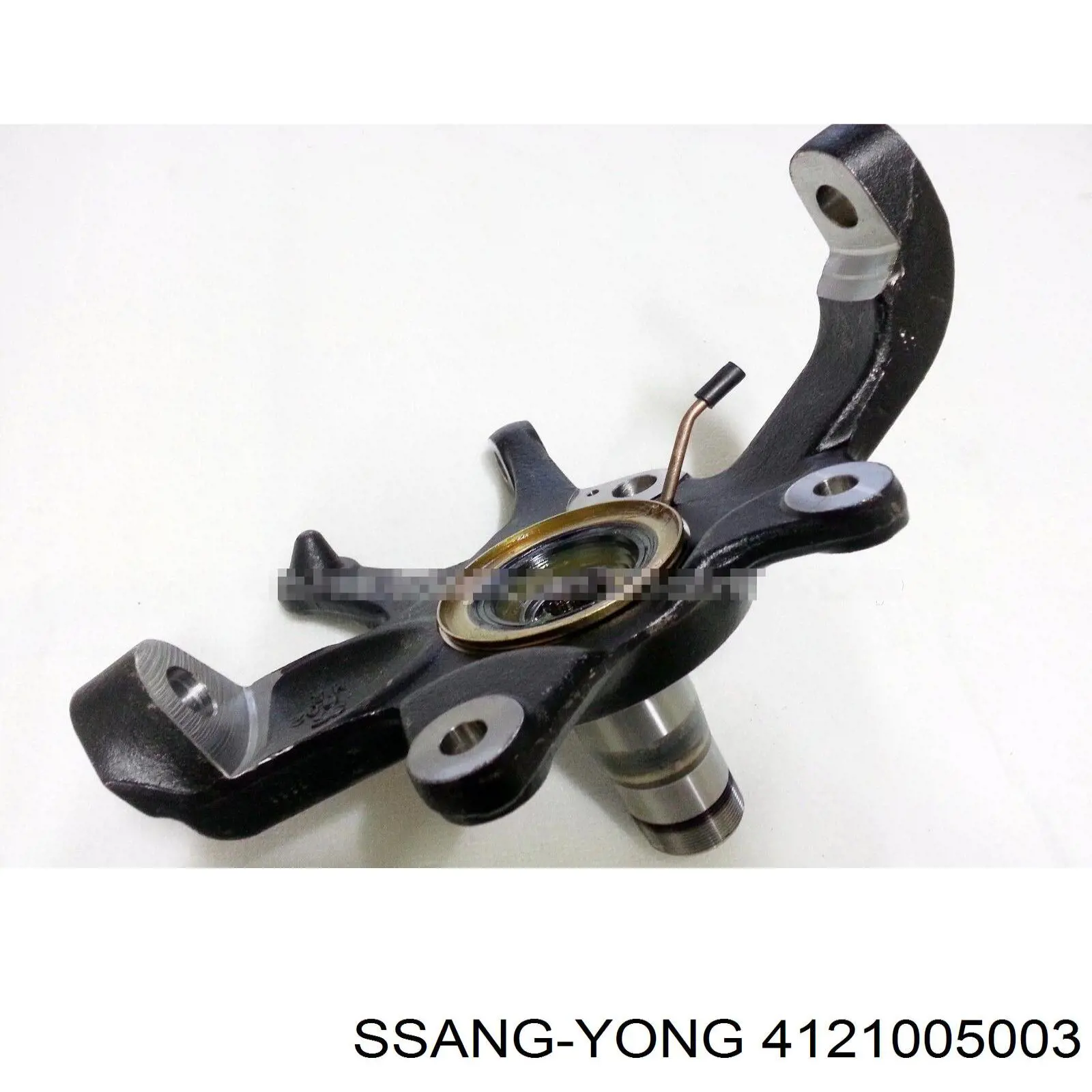 4121005003 Ssang Yong