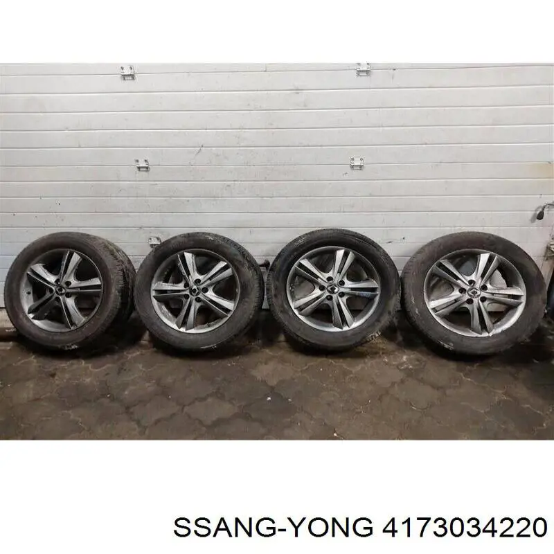 Comprar 4173034220 Ssang Yong Aros de rueda