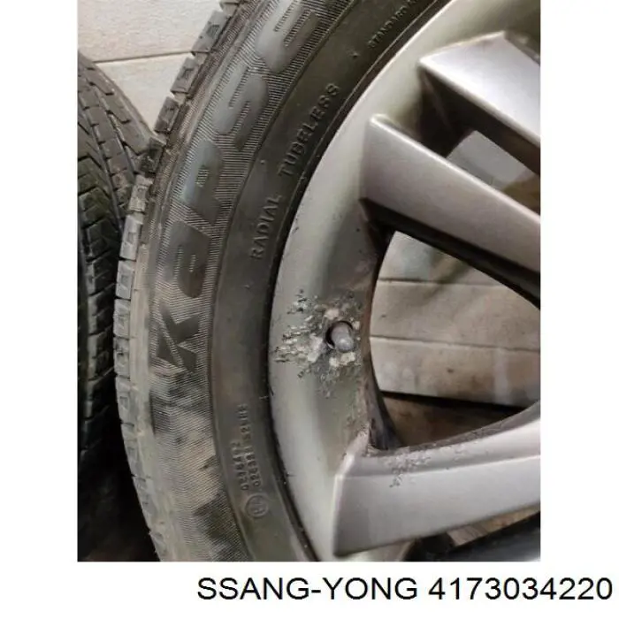 Llantas 4173034220 Ssang Yong