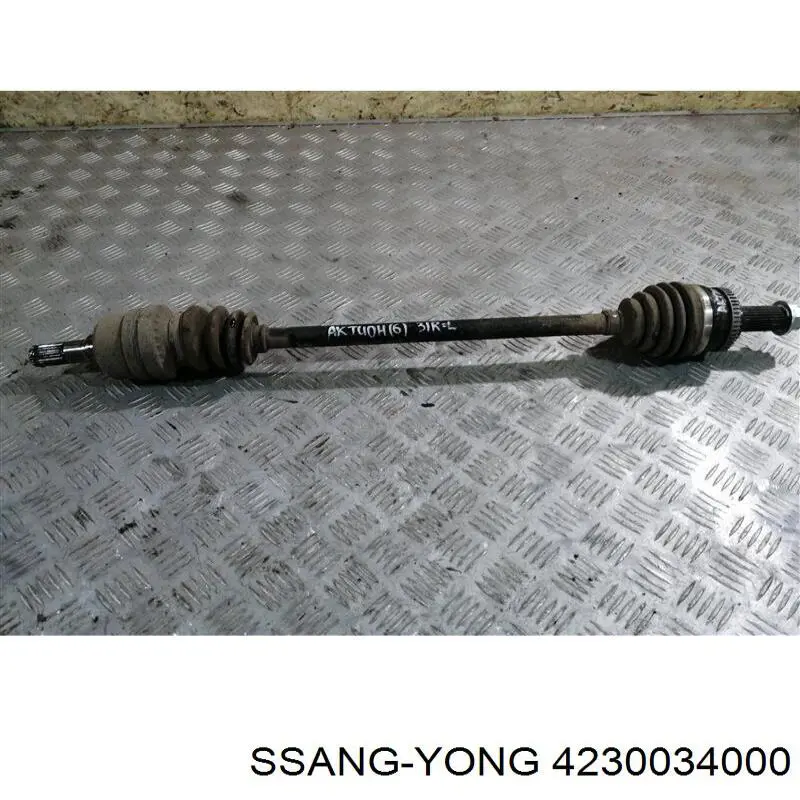 4230034000 Ssang Yong Semieje trasero
