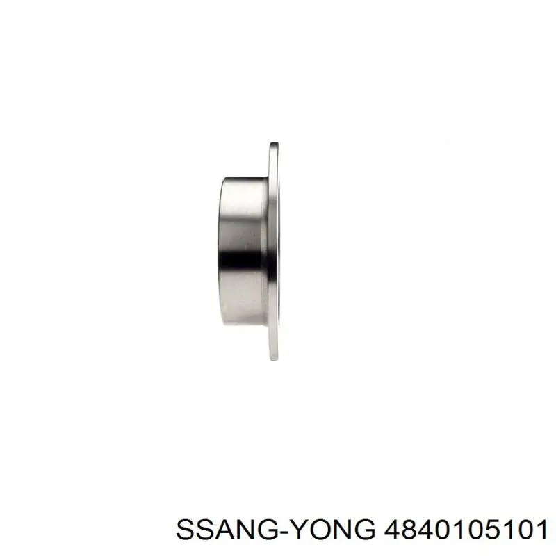 Disco de freno trasero Ssang Yong 4840105101 precio, desde 41,84 EUR
