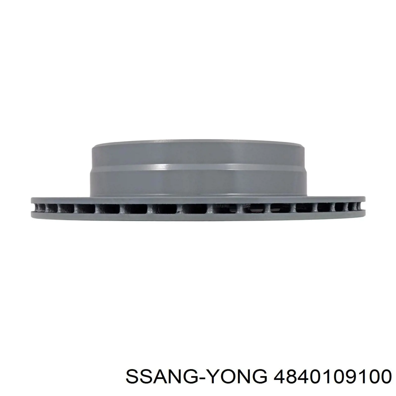 Disco de freno trasero 4840109100 Ssang Yong