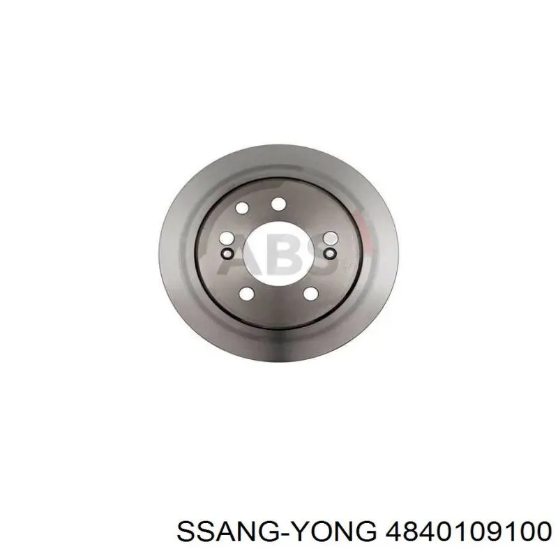 Disco de freno trasero Ssang Yong 4840109100 precio, desde 65,94 EUR