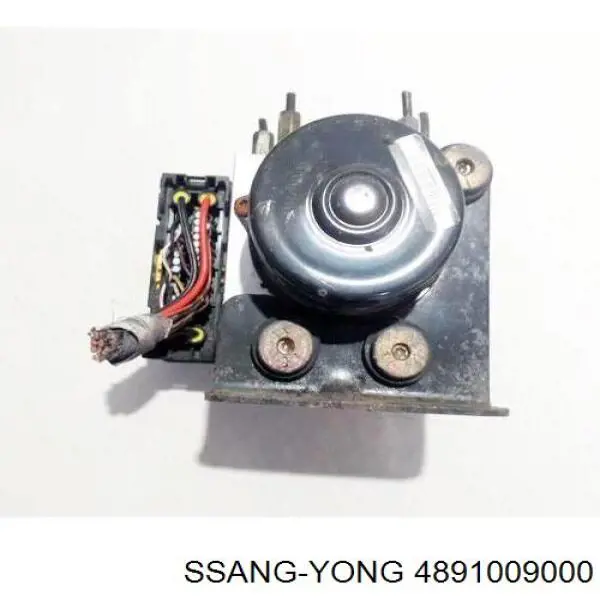 4891009000 Ssang Yong