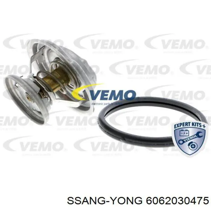 Comprar 6062030475 Ssang Yong Termostato