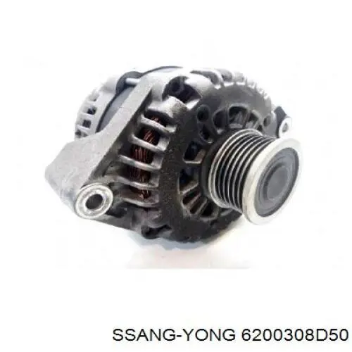 Puerta de coche, delantera, izquierda Ssang Yong 6200308D50 precio, desde 229,42 EUR