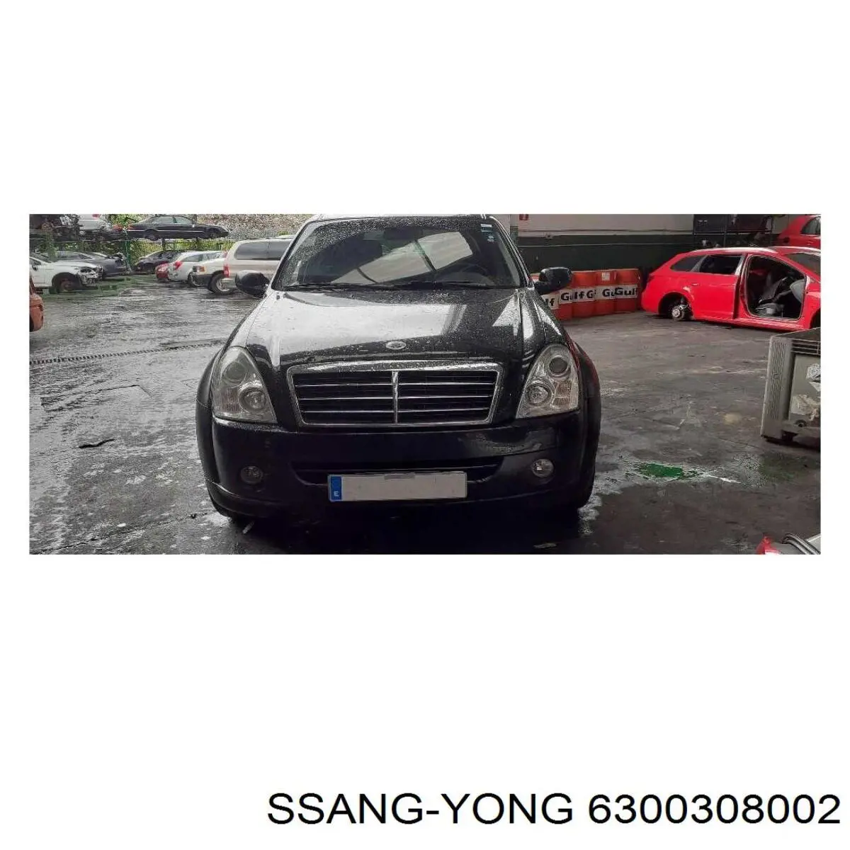 Puerta trasera izquierda para SsangYong Rexton (RJN)