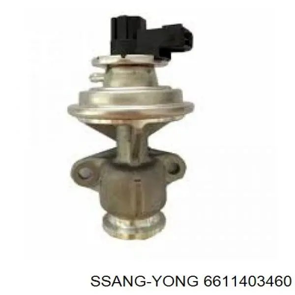 EGR SsangYong Rexton I