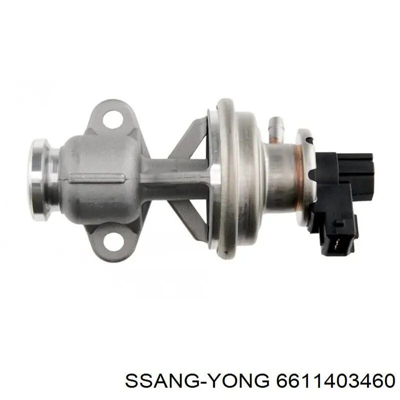 Válvula EGR para SsangYong Rexton I RJ