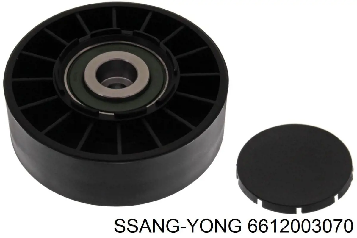 Rodillo, correa trapecial poli V Mercedes Bus 207-310 601