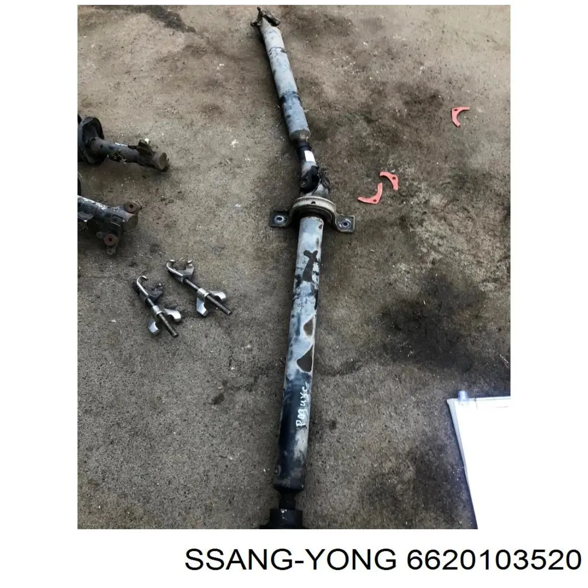 Cabeza de cilindro Ssang Yong 6620103520 precio, desde  