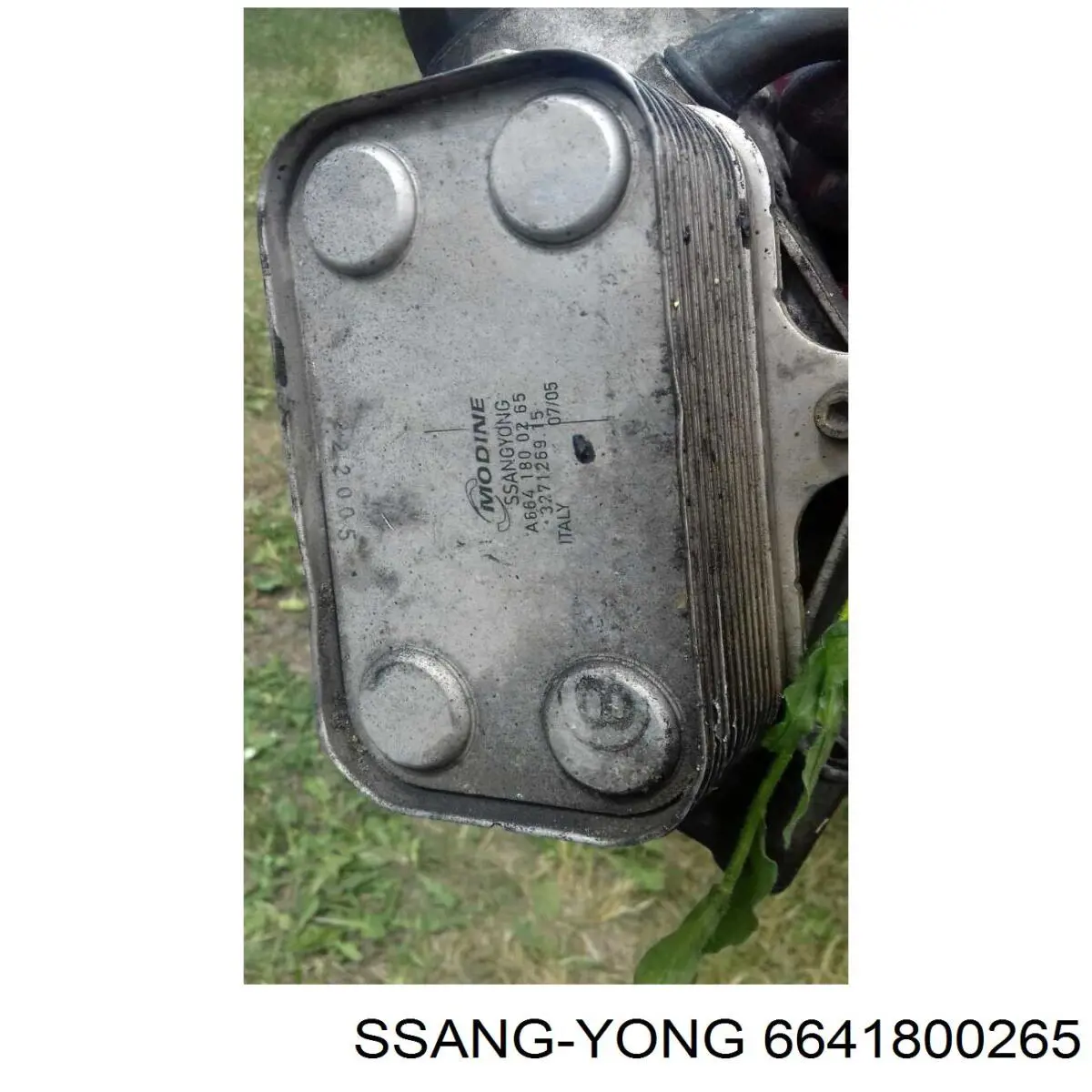 6641800365 Ssang Yong radiador de aceite