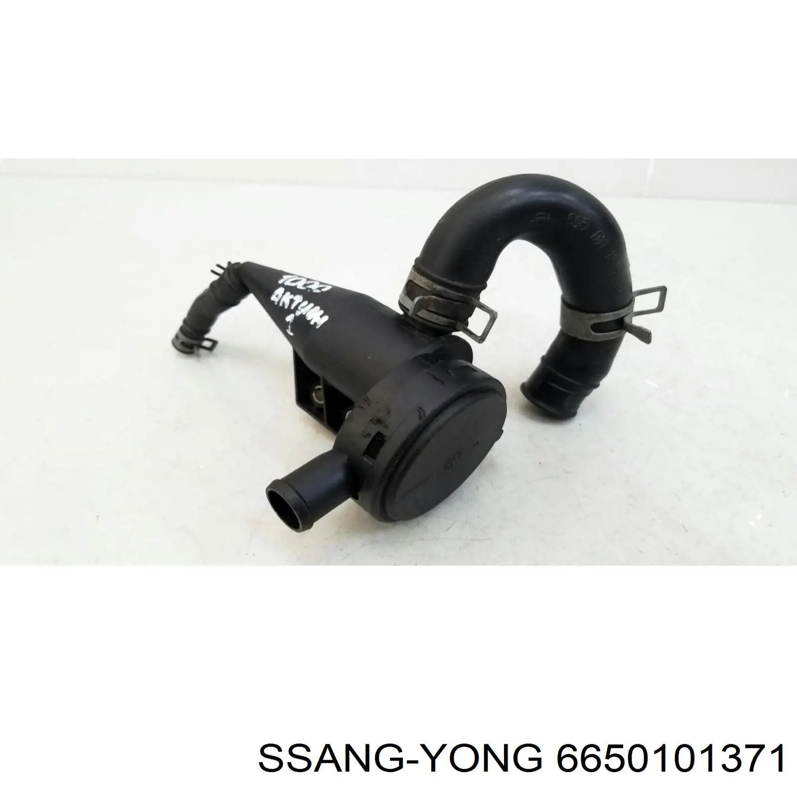 6650101371 Ssang Yong tubo de ventilacion del carter (separador de aceite)