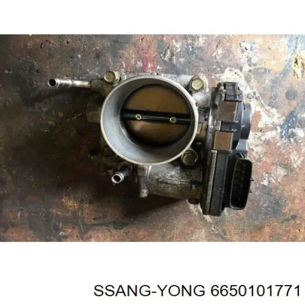 6650101771 Ssang Yong 