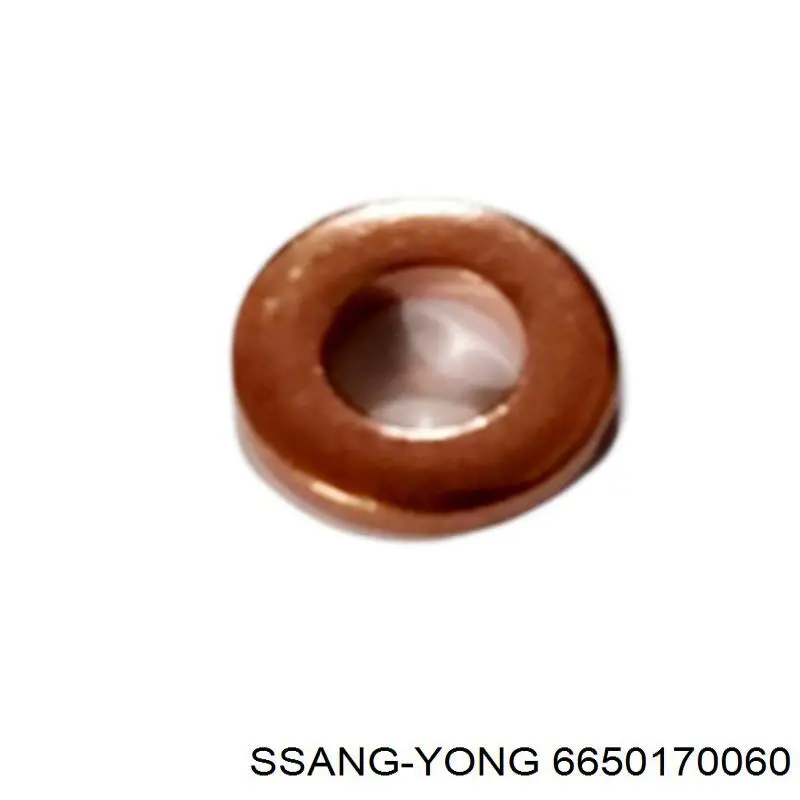 Comprar 6650170060 Ssang Yong Junta de inyectores
