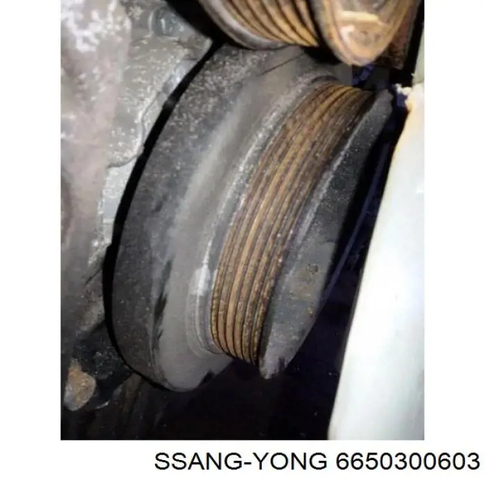 6650300603 Ssang Yong