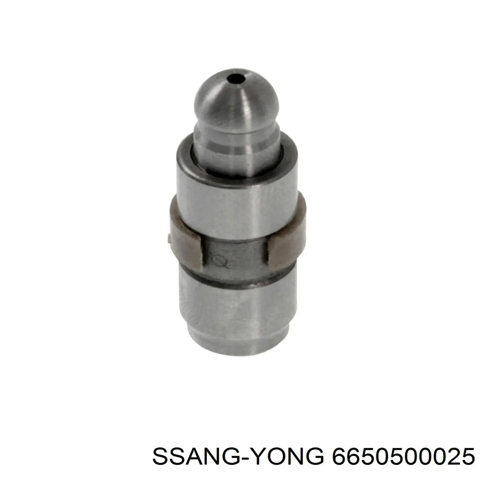 Comprar 6650500025 Ssang Yong Taqués hidráulicos